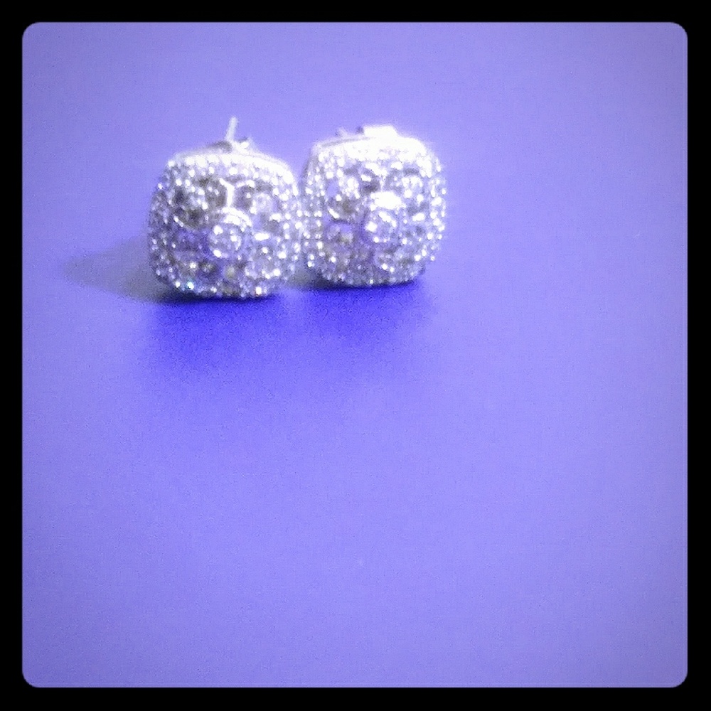 SALE Eliot Danori Stud Earrings!!
